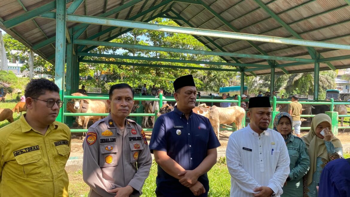 Jelang Idul Adha 1446 H, Wabup M. Ihpan Tinjau Kesehatan Hewan Kurban di Pasar Ternak Simpang Tiga