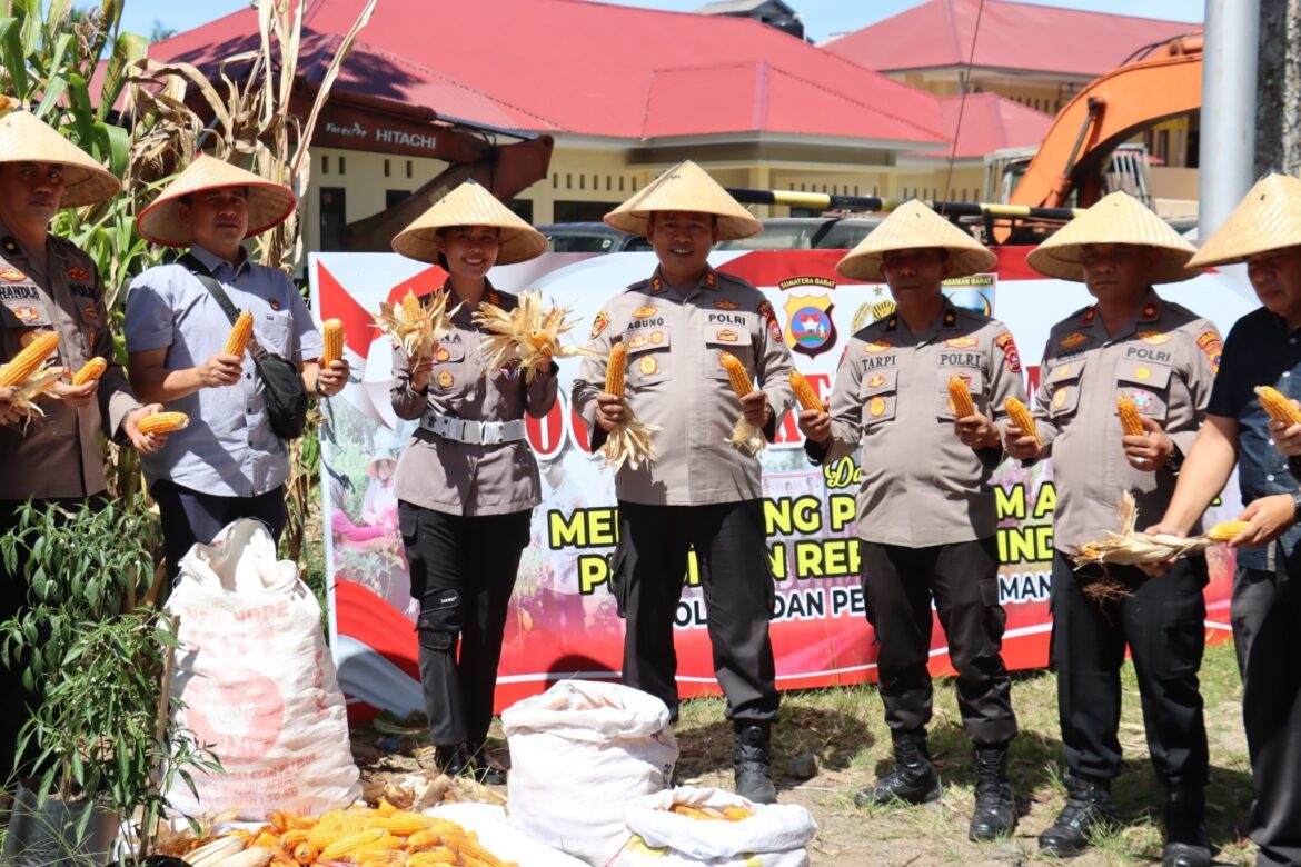 Polres Pasaman Barat Menggelar Panen Jagung, Dorong Kemandirian Pangan Guna Mewujudkan Program Asta Cita
