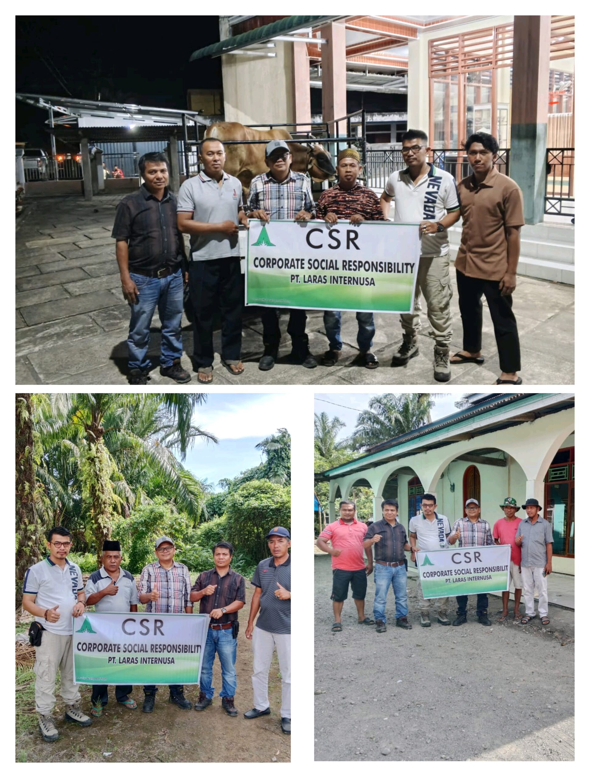 Rayakan Idul Adha PT.LARAS INTERNUSA (LIN) Pasaman Barat Memberikan 8 Sapi untuk Qurban Untuk Masyarakat 