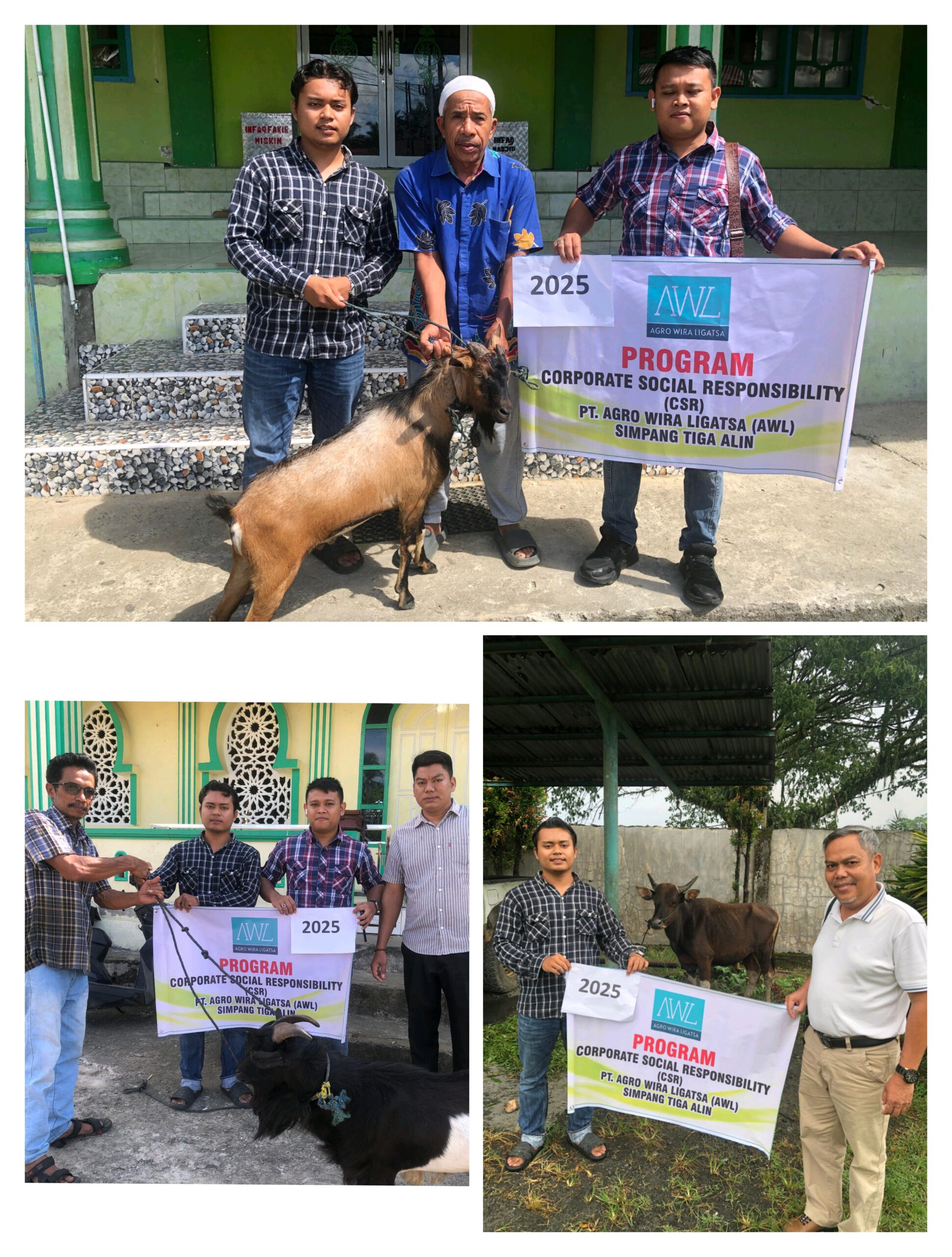 PT. AGRO WIRA LIGATSA (AWL) Rayakan idul Adha Qurban di lingkungan Karyawan dan Masyarakat Sekitar