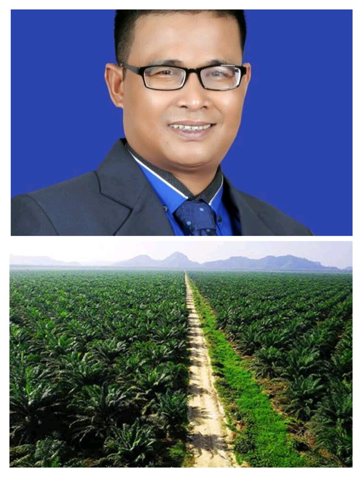 HGU Perusahaan Sawit Melebihi Luas yang ditetapkan, di Kabupaten Pasaman Barat