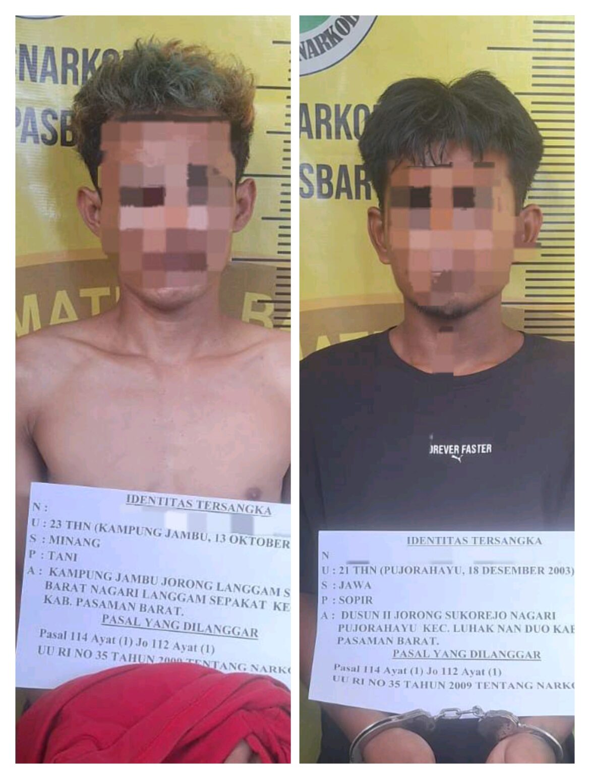 Membawa dan Menyimpan Sabu-Sabu, Seorang Sopir Truck Kelapa Sawit Diringkus Polisi