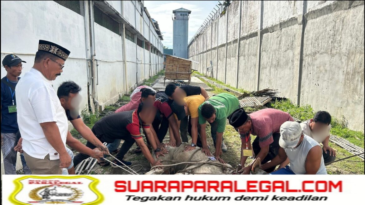 Rayakan Idul adha, Lapas Labuhan Ruku Laksanakan Pemotongan Hewan Kurban.
