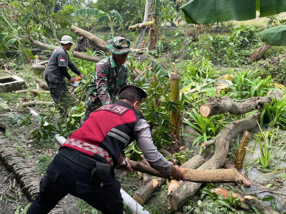 Polresta Cirebon Laksanakan Penanggulangan Pasca Bencana Alam Angin Puting Beliung