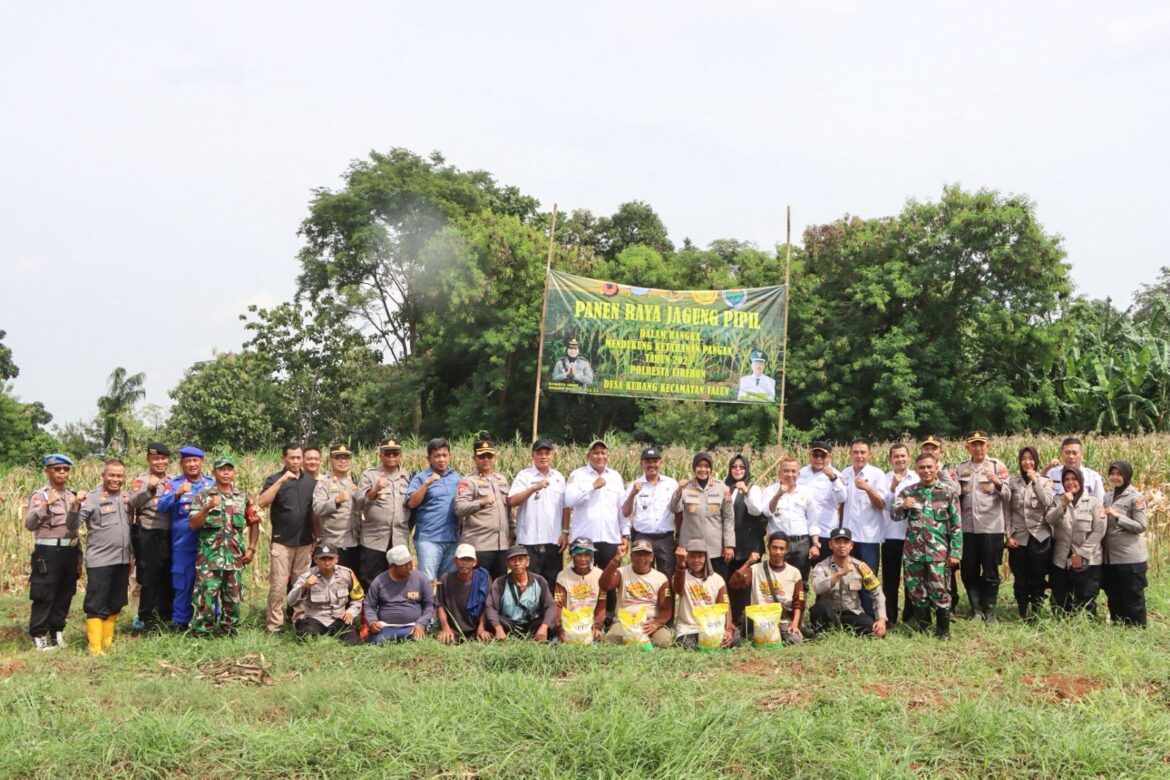 Polresta Cirebon Gelar Panen Jagung Pipil Dalam Rangka Mendukung Swasembada Pangan.